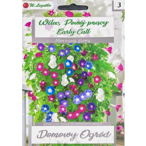 Jutranja slava (Ipomea) Early Call slika 1 članek 96781