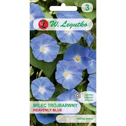 Jutranja slava (Ipomea) Heavenly Blue slika 1 članek 78595