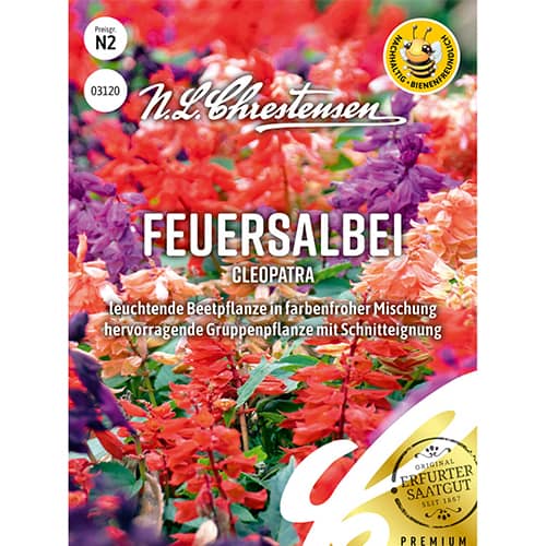 Kadulja Cleopatra - mešanica slika 1 članek 86150