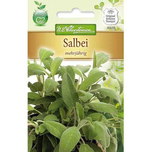 Kadulja Chrestensen slika 1 članek 78869