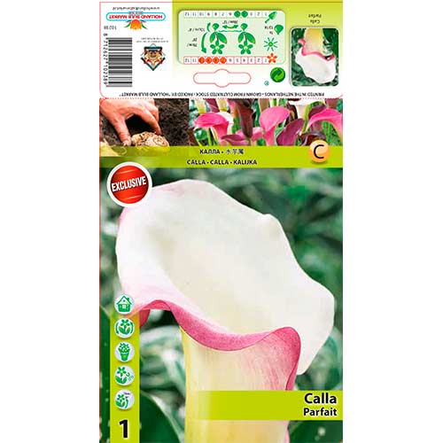 Kala Parfait slika 1 članek 76195