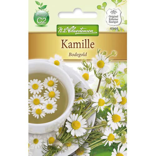 Kamilica Bodegold slika 1 članek 78853