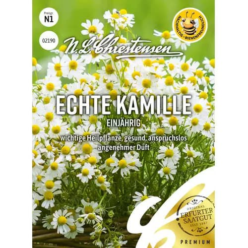 Kamilica enoletnica slika 1 članek 96508