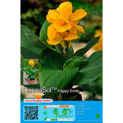 Kana Happy Emily slika 1 članek 76402