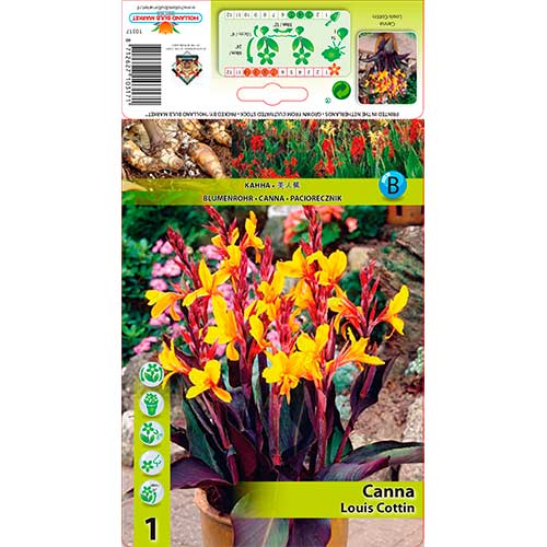 Kana Louis Cottin slika 1 članek 76196