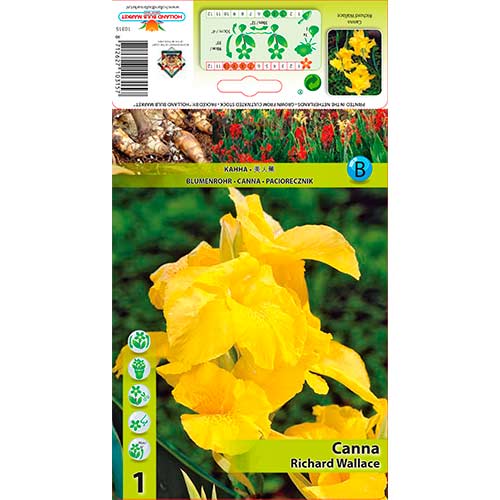 Kana Richard Wallace slika 1 članek 70366