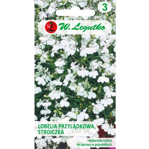 Kapska lobelija (Stroiczka) bela slika 1 članek 78571