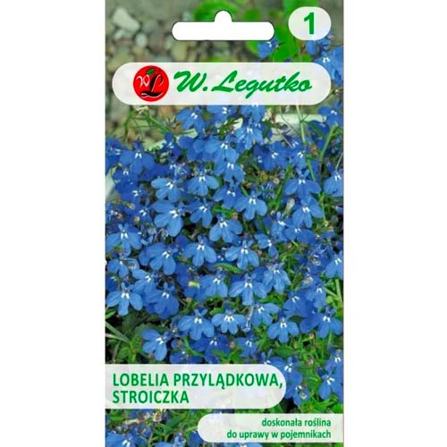 Kapska lobelija (Stroiczka) modra slika 1 članek 78573