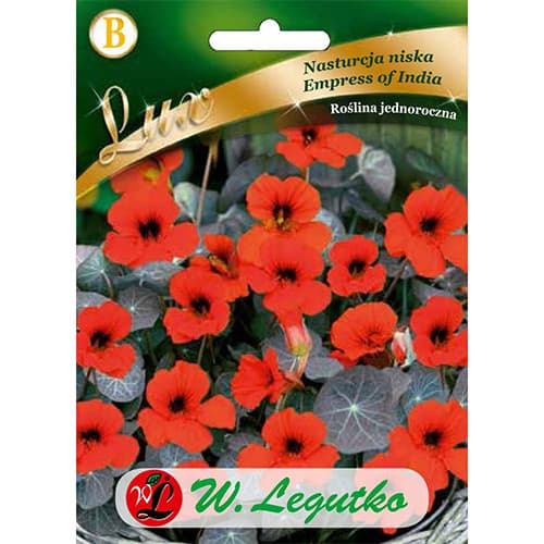 Kapucinka Empress of India slika 1 članek 86750