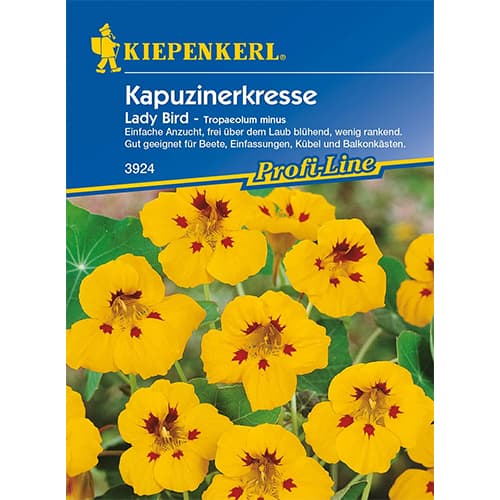 Kapucinka Lady Bird Kiepenkerl slika 1 članek 87751