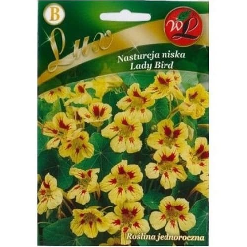 Kapucinka Lady Bird Legutko slika 1 članek 86751