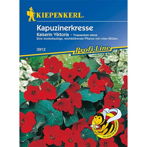 Kapucinka Queen Victoria slika 1 članek 86273