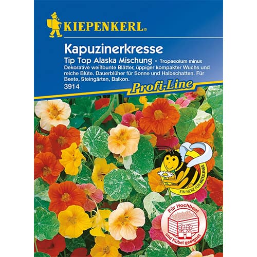 Kapucinka Tip Top Alaska slika 1 članek 86278