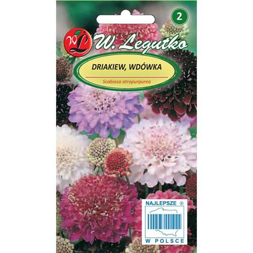 Kavkaški grintavec, večbarvna mešanica slika 1 članek 87856