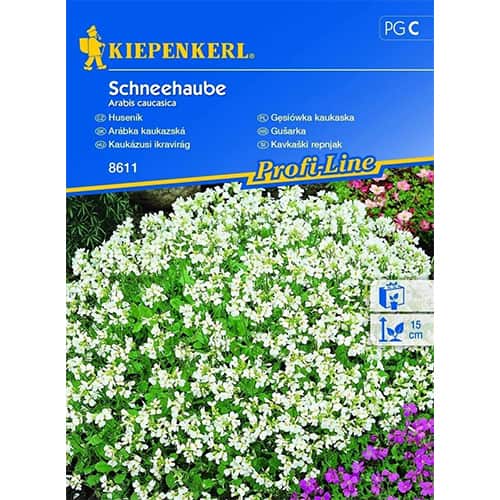 Kavkaški repnjak slika 1 članek 96511