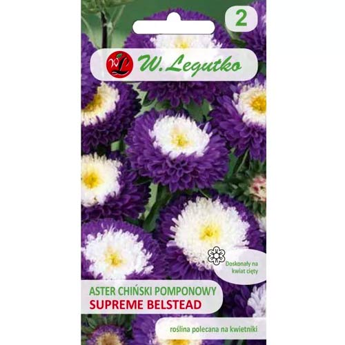 Kitajska astra Belstead Supreme z resicami slika 1 članek 86816