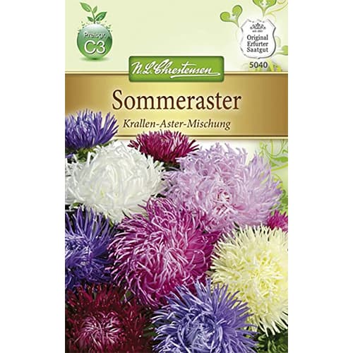 Kitajska astra Krallen - večbarvna mešanica slika 1 članek 87804