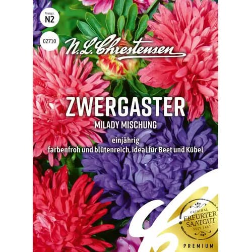 Kitajska astra Milady, pritlikava - mešanica slika 1 članek 87825