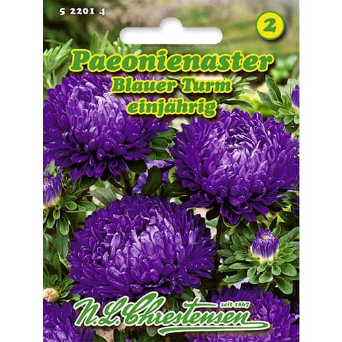 Kitajska astra potonika, Blue Tower slika 1 članek 86134