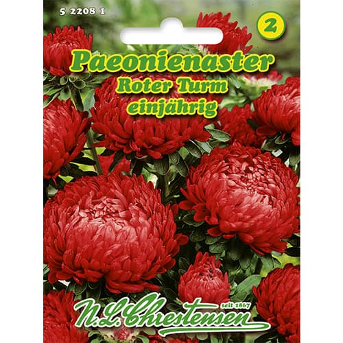 Kitajska astra potonika, Red Tower slika 1 članek 86136