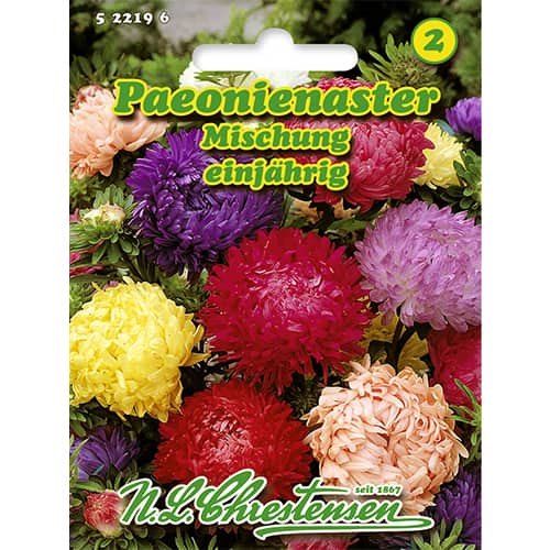 Kitajska astra potonika - večbarvna mešanica slika 1 članek 86135