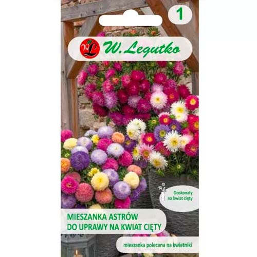 Kitajska astra za rezano cvetje, mešanica slika 1 članek 50083