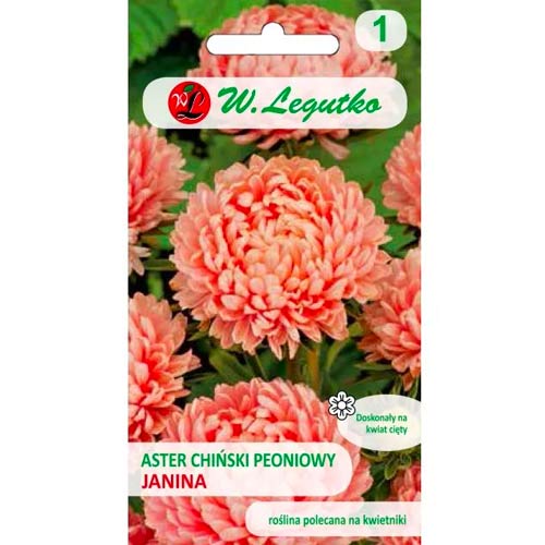 Kitajska potonika aster Janina losos slika 1 članek 78522