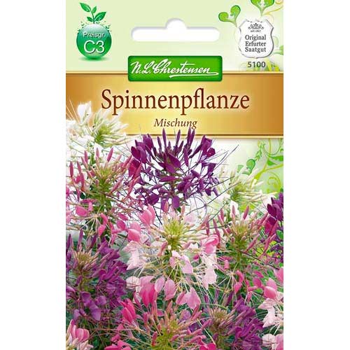 Kleoma - večbarvna mešanica slika 1 članek 78902