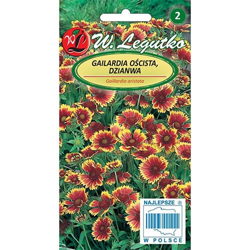 Kokarda (Gailardia) Bicolor, večbarvna mešanica slika 1 članek 87860