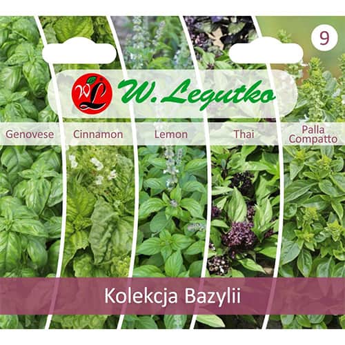 Kolekcija bazilike, paket s 5 sortami slika 1 članek 96837