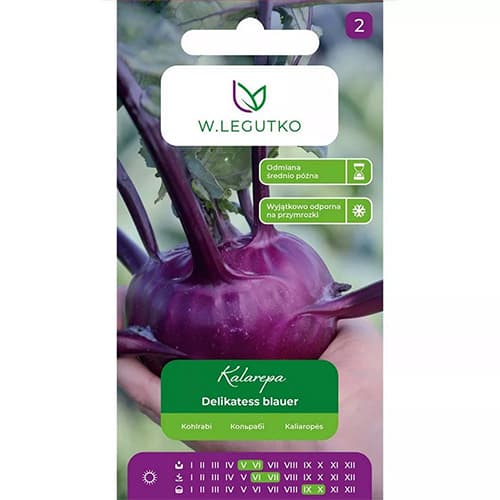 Koleraba Delikatess blauer Legutko slika 1 članek 78471