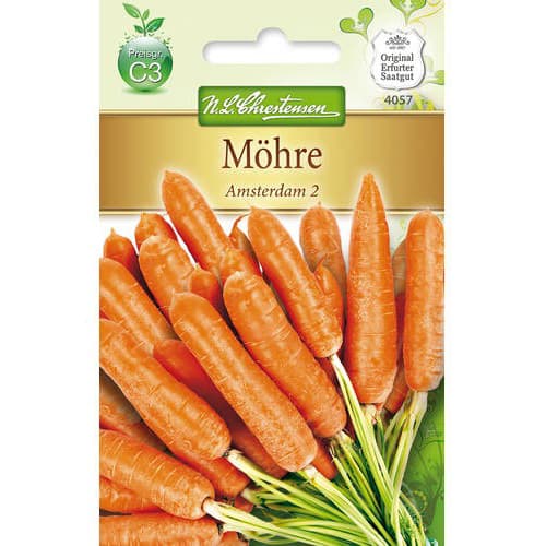 Korenček Amsterdam 2 Chrestensen slika 1 članek 78729