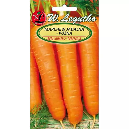 Korenček Belikumer 2 slika 1 članek 78483