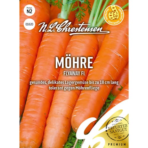 Korenček Flyaway F1 Chrestensen slika 1 članek 86067