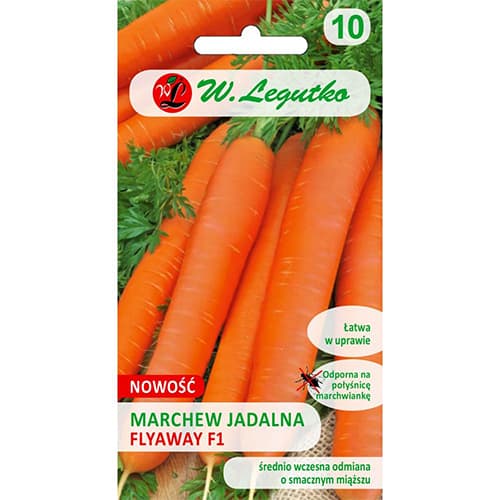 Korenček Flyaway F1 Legutko slika 1 članek 78482