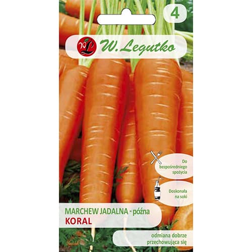 Korenček Koral slika 1 članek 86871