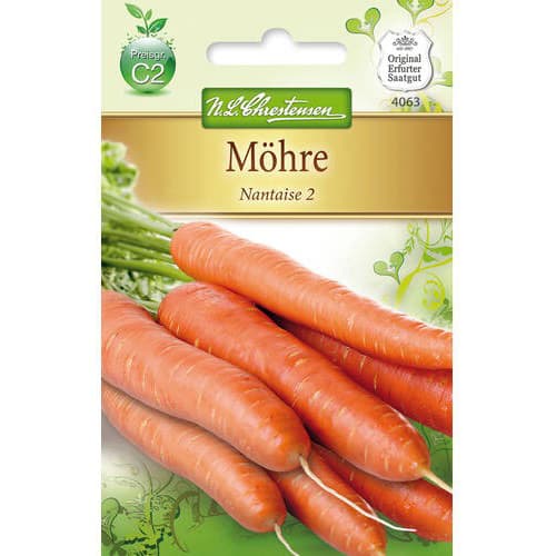 Korenček Nantes 2 slika 1 članek 78732