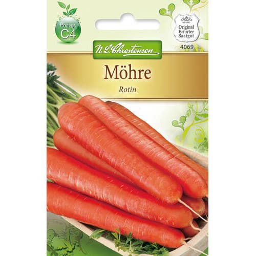 Korenček Rotin slika 1 članek 78735