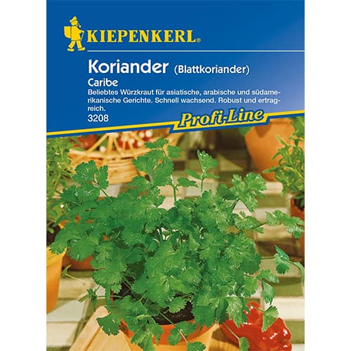 Koriander Caribe Kiepenkerl slika 1 članek 96628