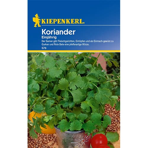 Koriander enoletni slika 1 članek 77463