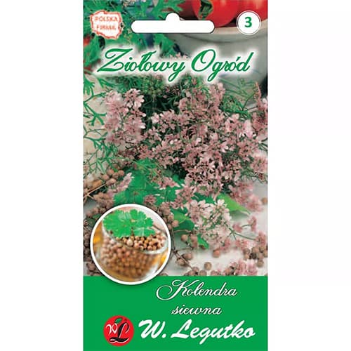 Koriander Legutko slika 1 članek 69674