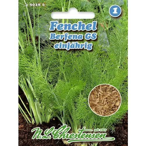 Koromač Berfena slika 1 članek 96473