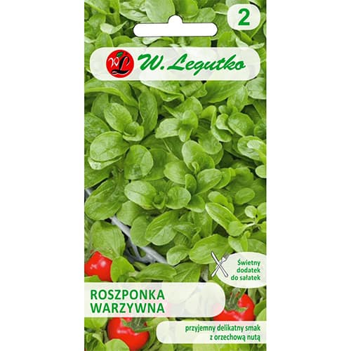 Koruza Verte de Cambrai slika 1 članek 78497