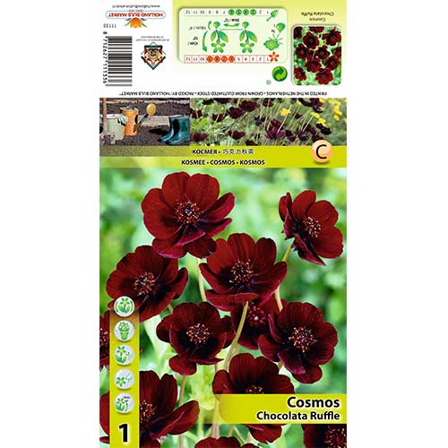 Kozmeja Chocolate Ruffle slika 1 članek 70368