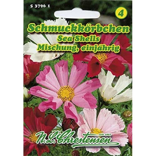 Kozmeja Sea Shells - večbarvna mešanica slika 1 članek 87805