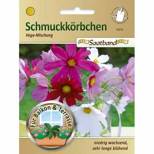 Kozmeja Vega - večbarvna mešanica slika 1 članek 50027