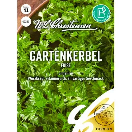 Krebuljica Frise slika 1 članek 50044