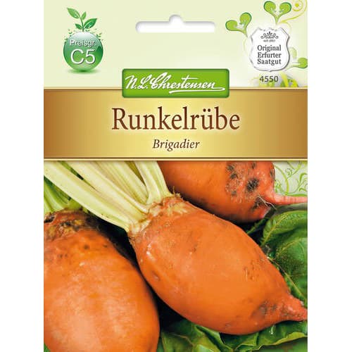 Krmna repa Brigadier slika 1 članek 78880