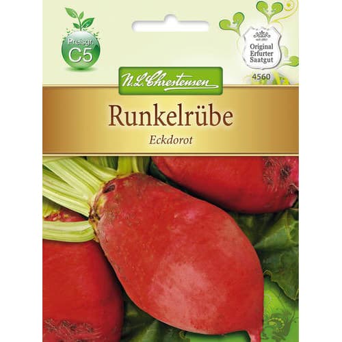 Krmna repa Eckdorot slika 1 članek 78882