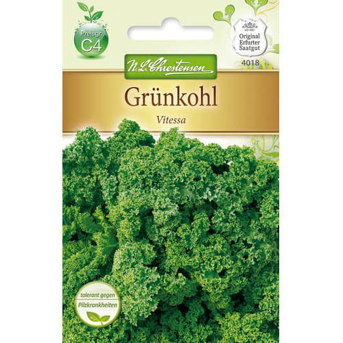 Krmno zelje Vitessa slika 1 članek 78717